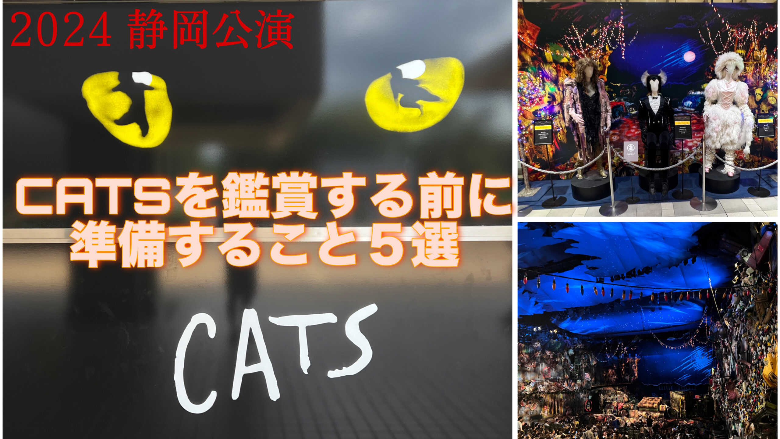 初めての人必見【劇団四季CATS】を鑑賞する前に準備すべきこと5選 -