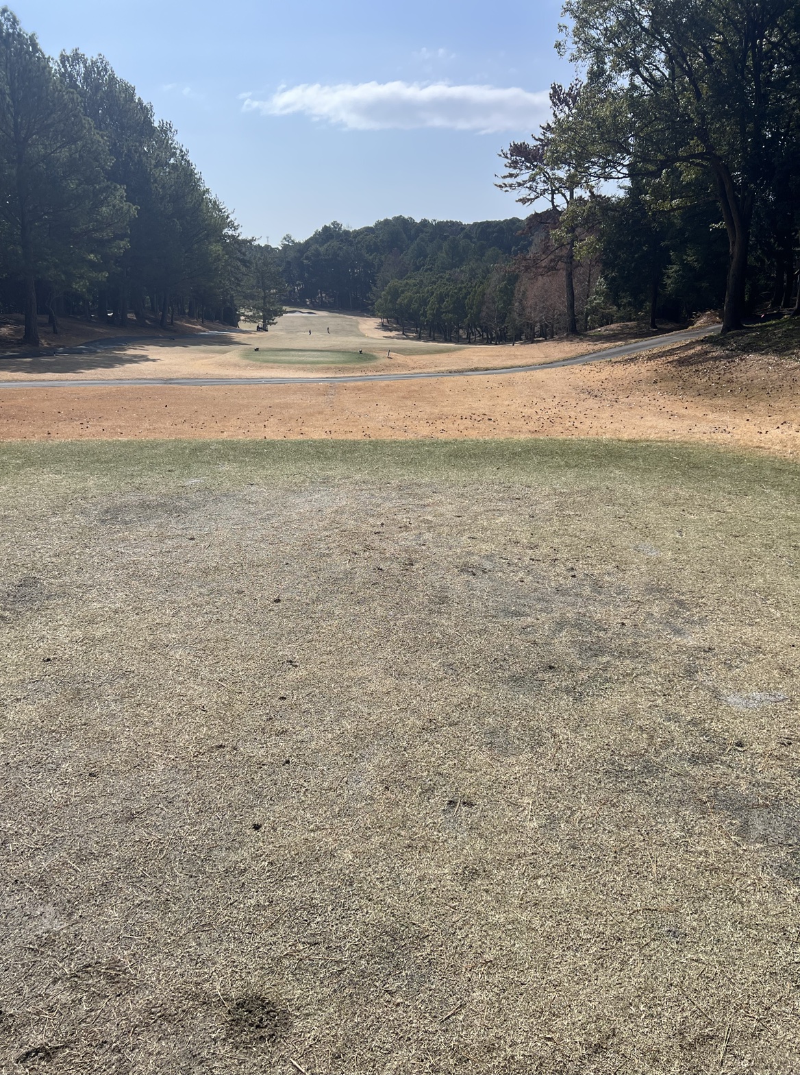 掛川カントリークラブ 8番ホール