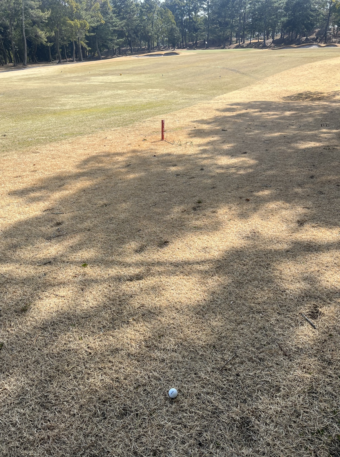 掛川カントリークラブ 8番ホール フェアウェイ