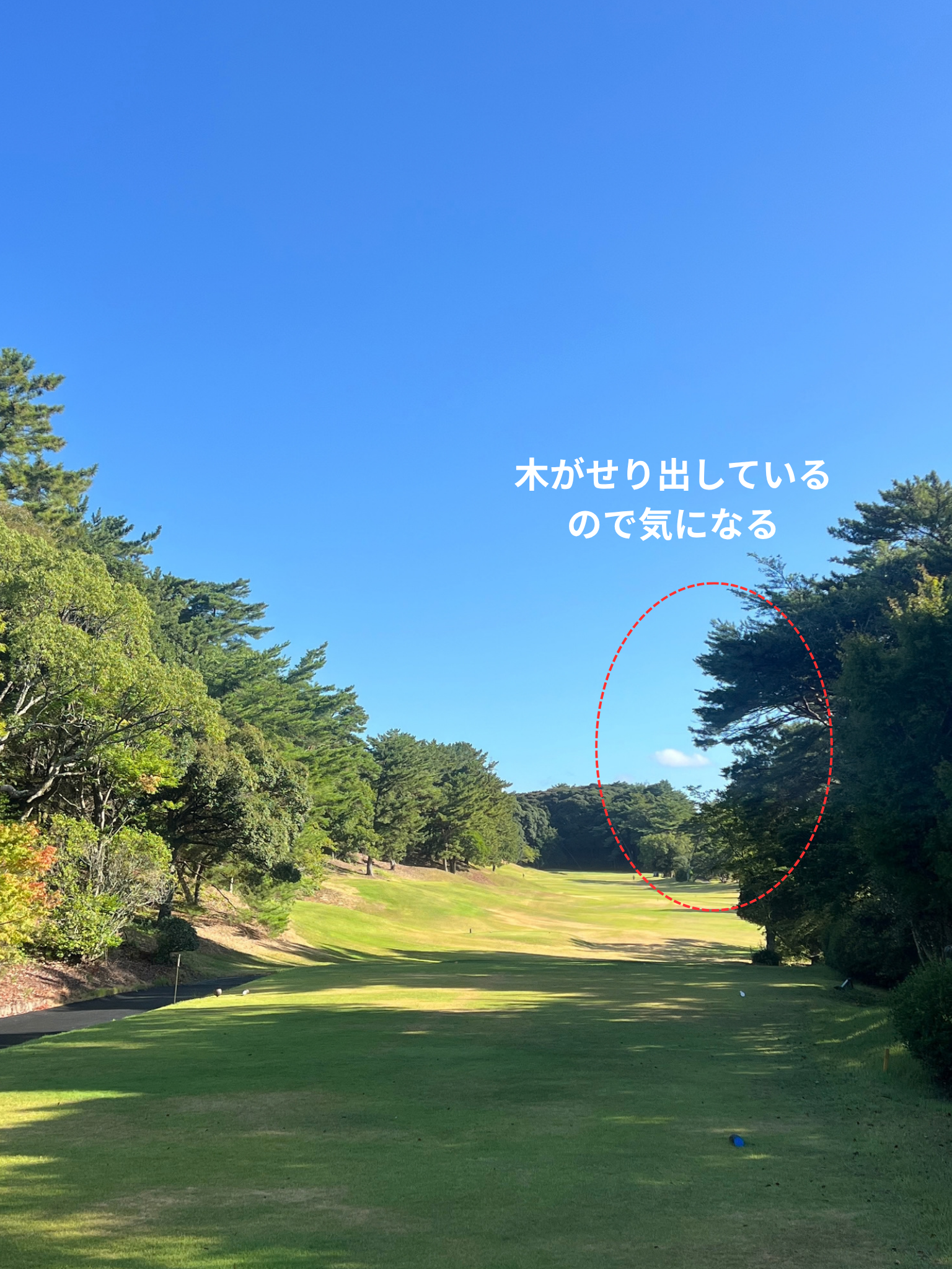 静岡カントリー袋井コース1番ホール。右サイドの木がせり出している