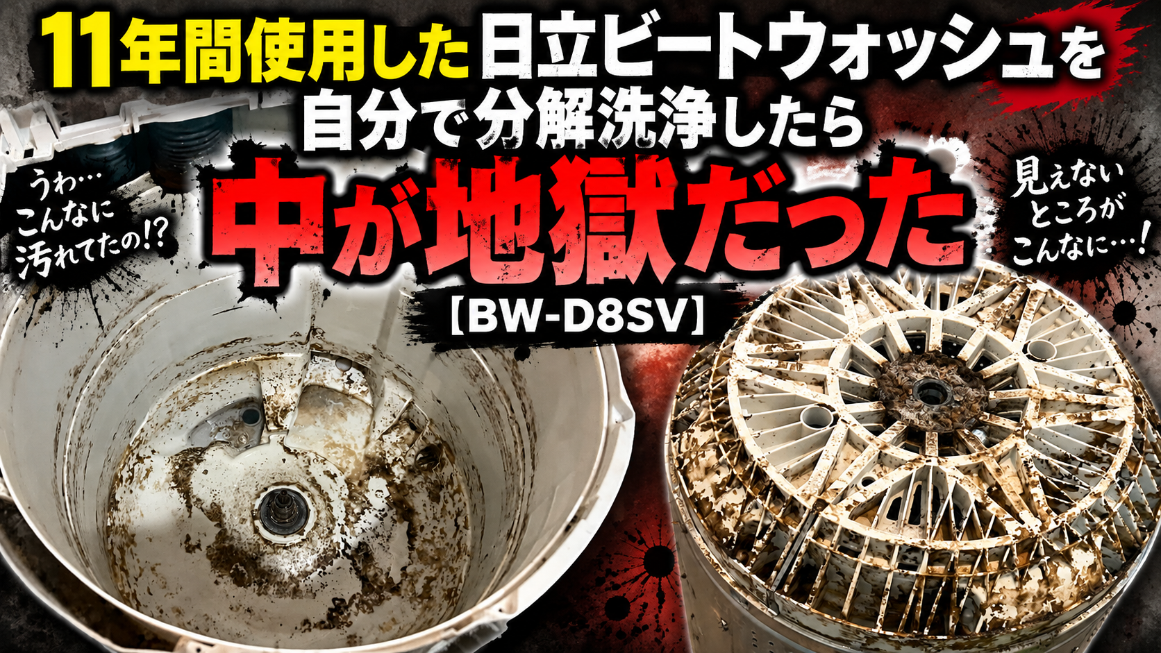 ビートウォッシュを自分で分解洗浄したら中が地獄だった【BW-D8SV